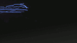 telefe Id gif
