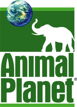 animalplanet 4