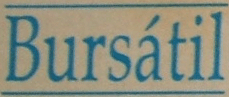 bursatil