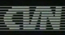 viejo cvn01 2