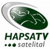 hapsatv 2010