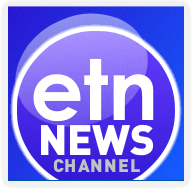 Logo ETN News 2013