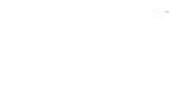 Logo Mosca Canal 13 HD (2010 presente)