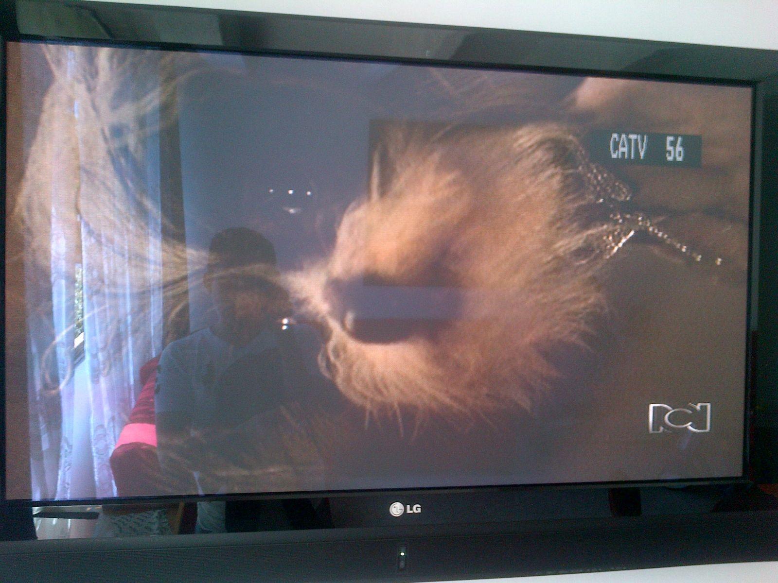RCN TV en Global TV Neiva (2)