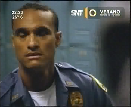Mosca especial veraniega SNT Paraguay (2014-2015)