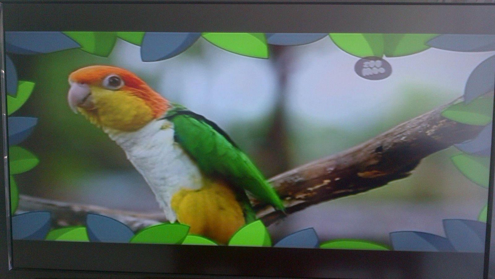 Captura canal ZooMoo - 2014