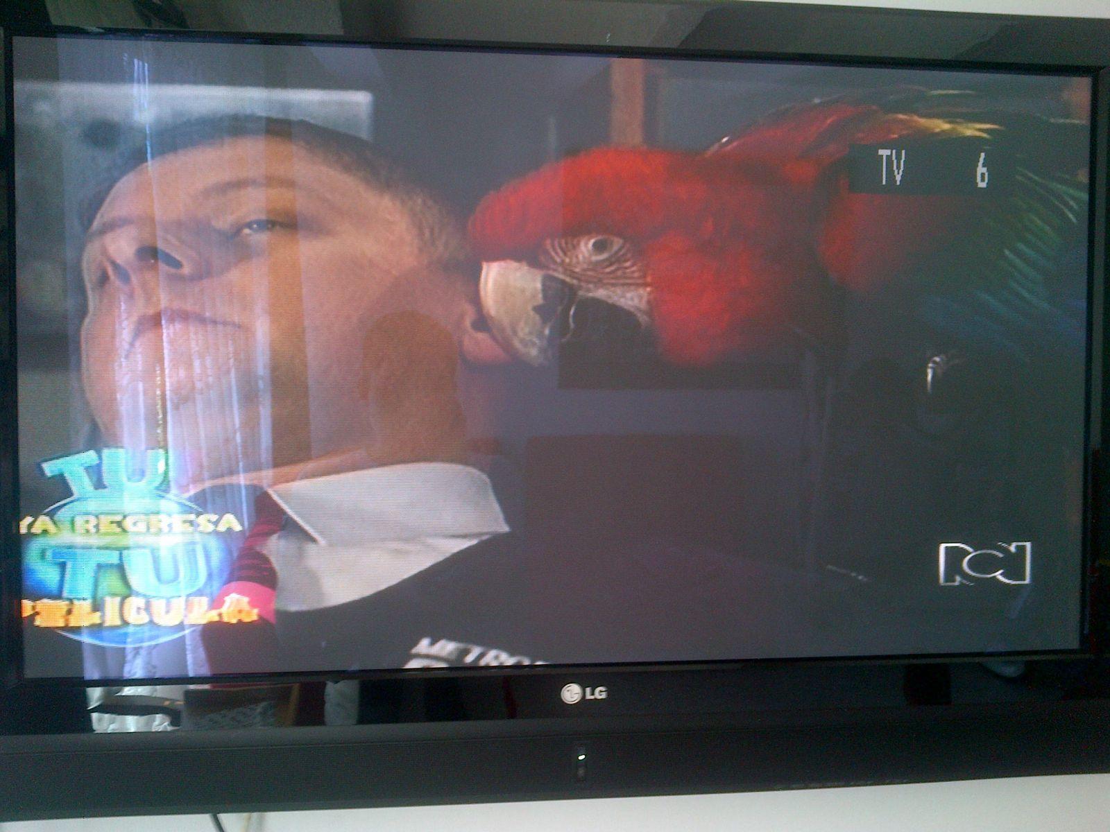 RCN TV en Global TV Neiva (1)