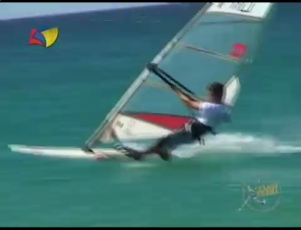 Nueva mosca TVes - 2014