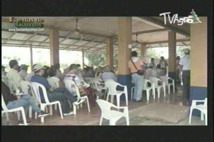 LEP Navideña de TVAgro - 2013
