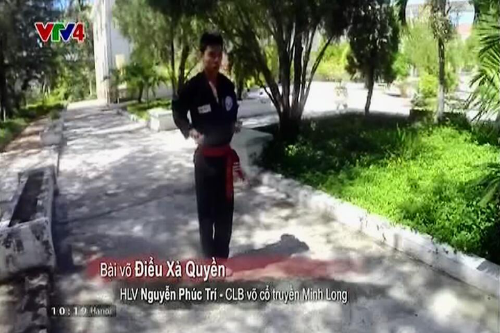 VTV4 (Vietnam)