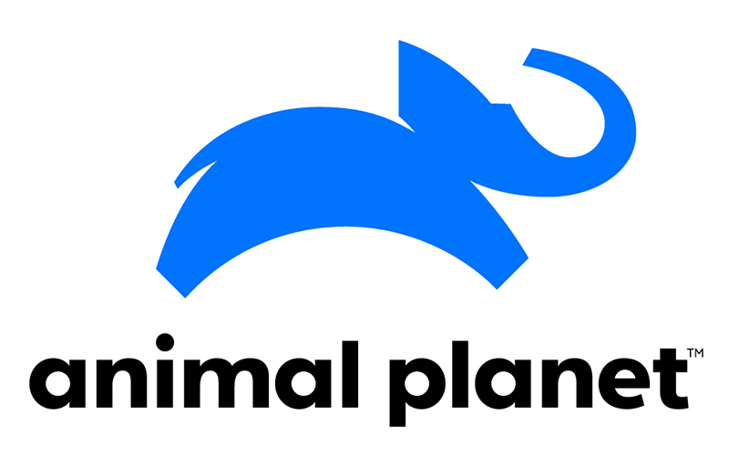 animal-planet-logo-2018.png.c53e44b54ae9f8c9be87a74550ab2df2.png