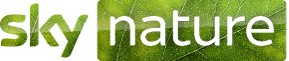 image.png.baf4e1ec126525052ab2a74670ce1d44.png