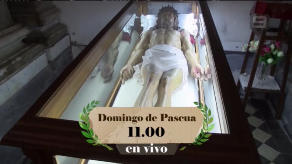 imagen.png.9ed264b0d3de7d7cd824d6fdd8a50fd1.png