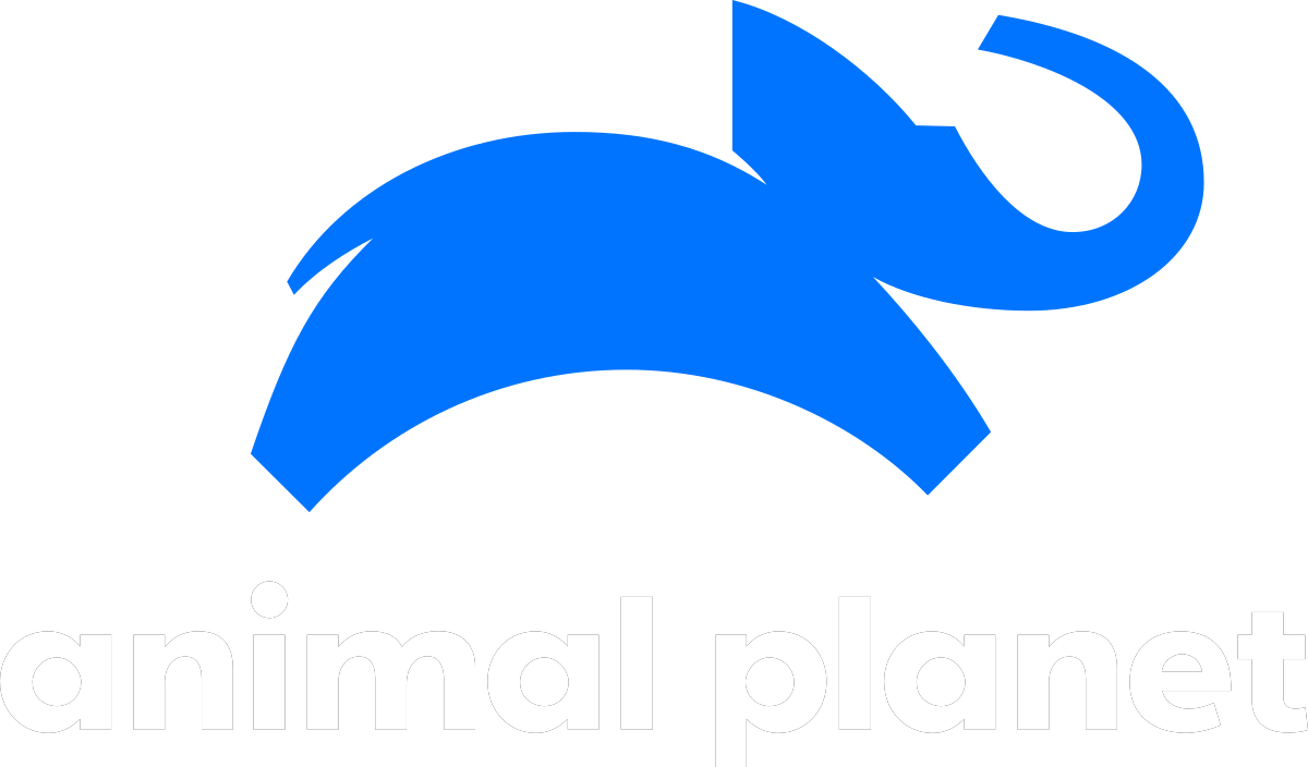 1200px-2018_Animal_Planet_logo.svg.png