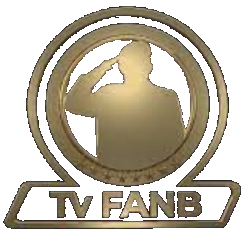TV Fanb (Nuevo logo)