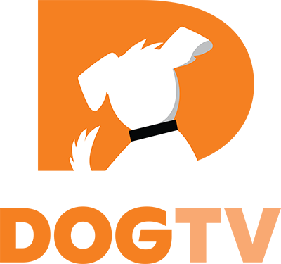 DOGTV (2021)