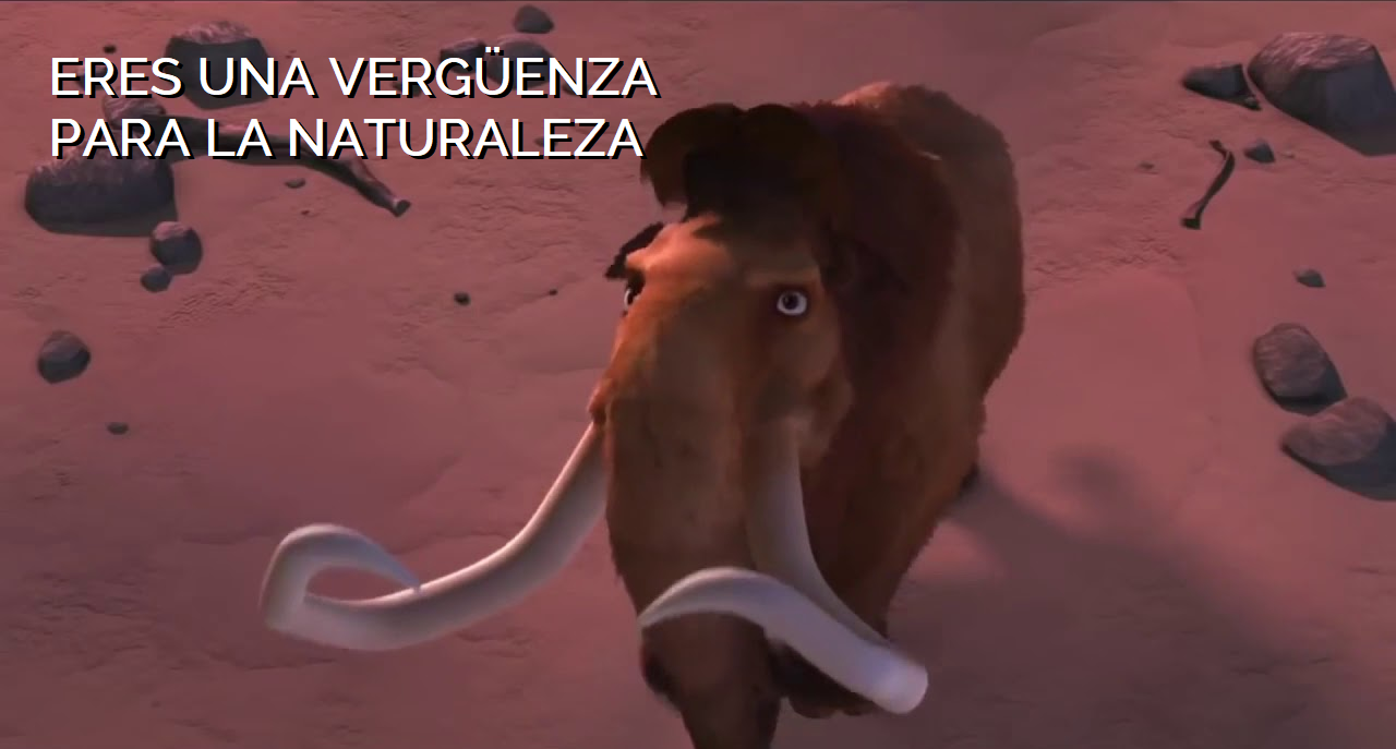 image.thumb.png.15ac09fe8e4ee599259975bdfb4b0a14.png