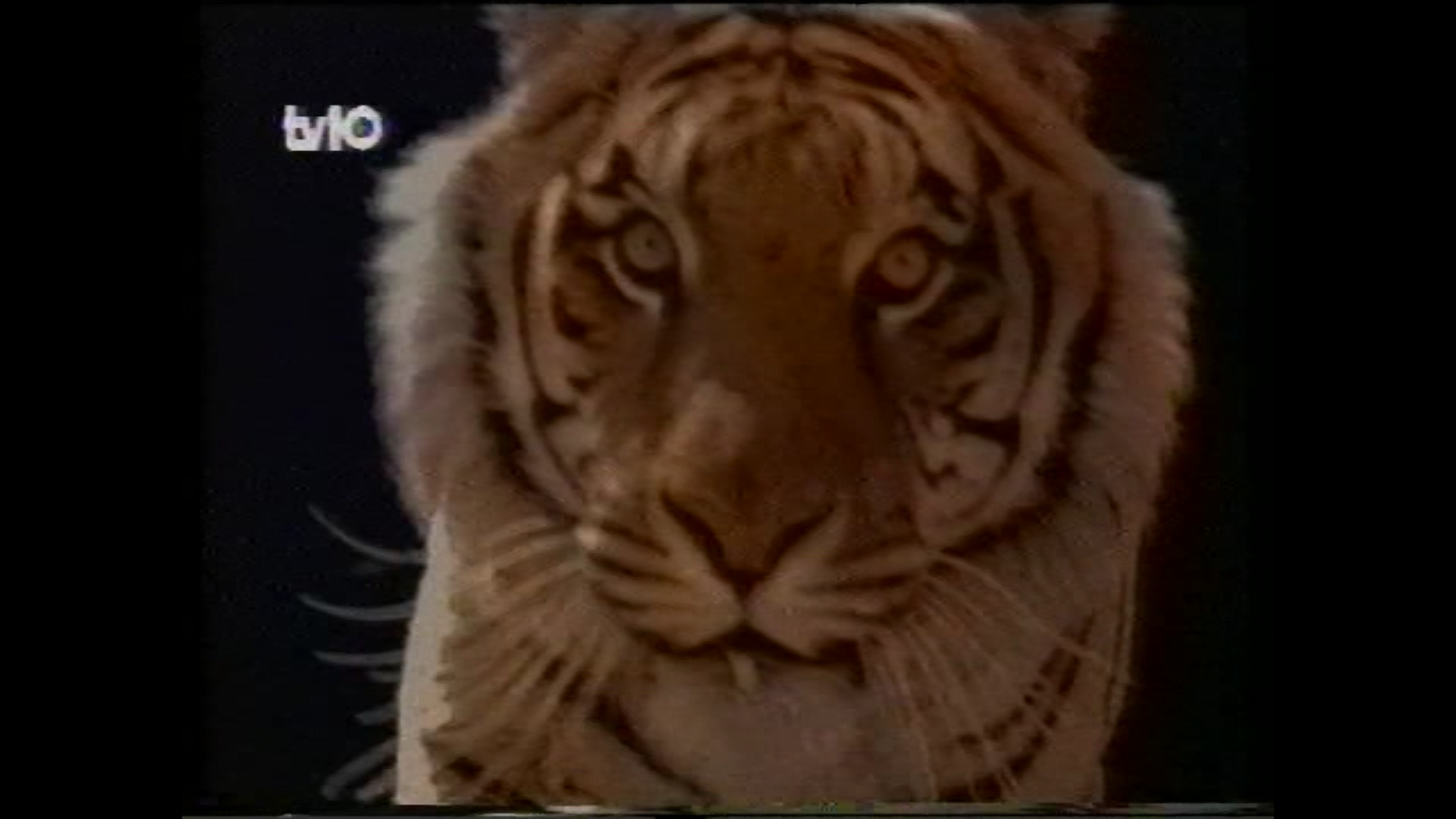 image.thumb.png.517ee453a50e8890af70b3447d6d154b.png