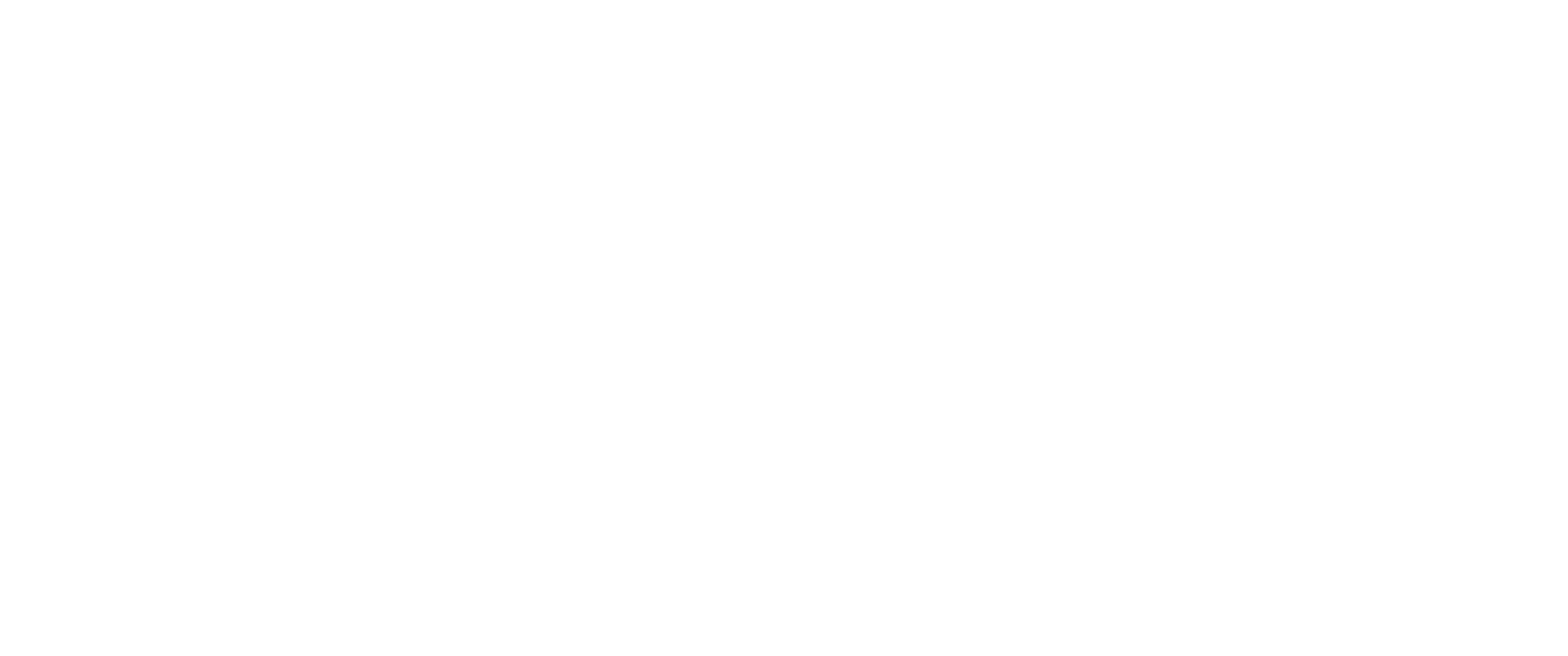 elseis logo 2022 blanco.png