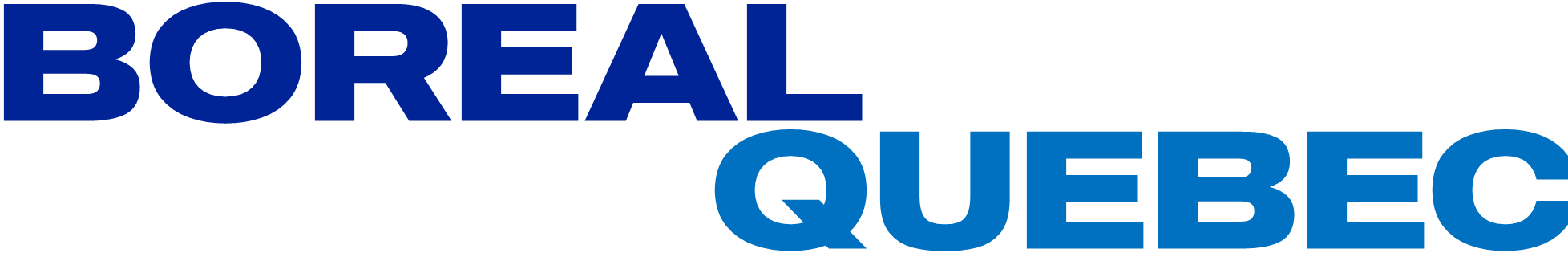 908784137_borealquebec.thumb.png.43a4092db16aaa0e716e5c3bd3271d9a.png