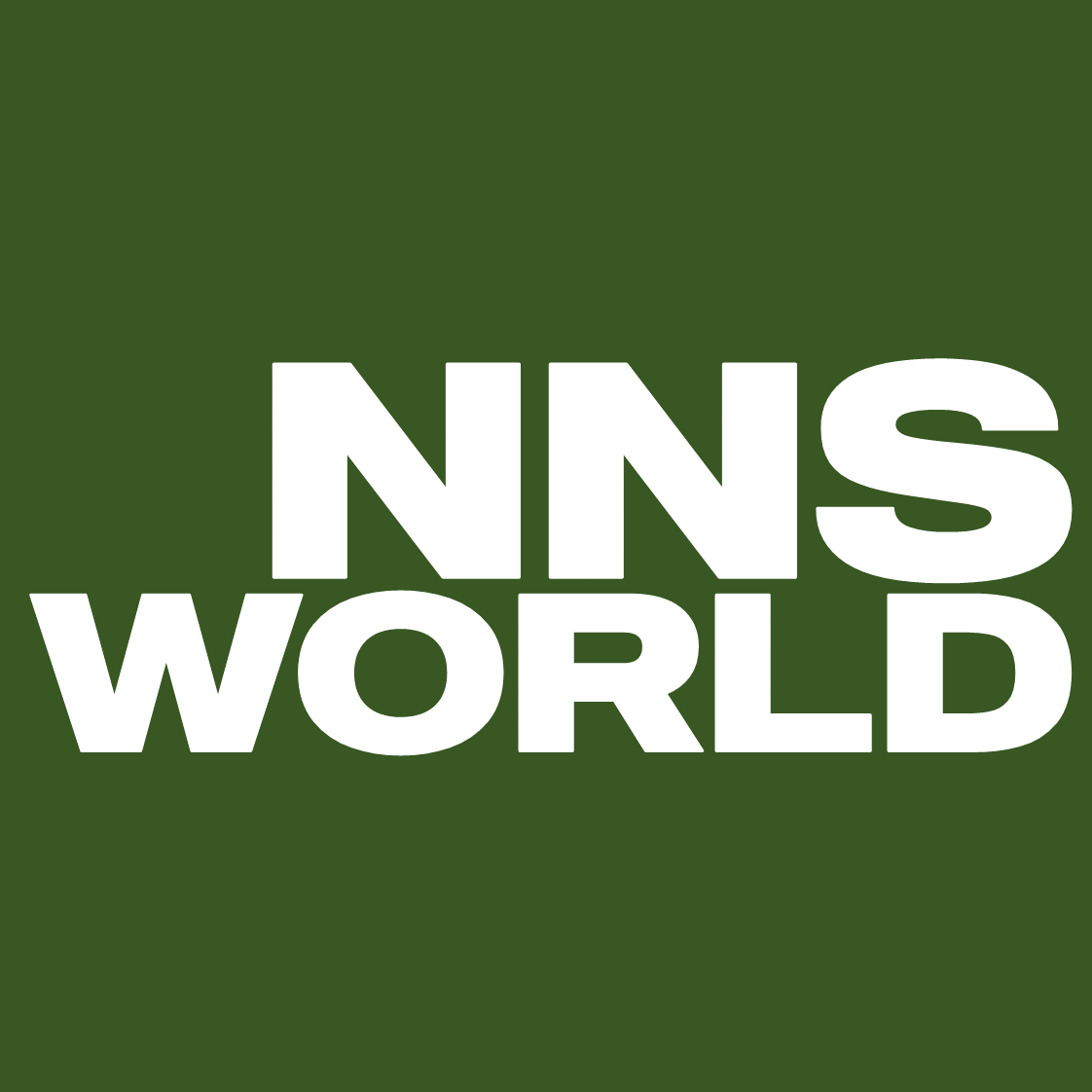 nns_world.thumb.png.ed7d8d9785194f18ef09d496380fcedf.png