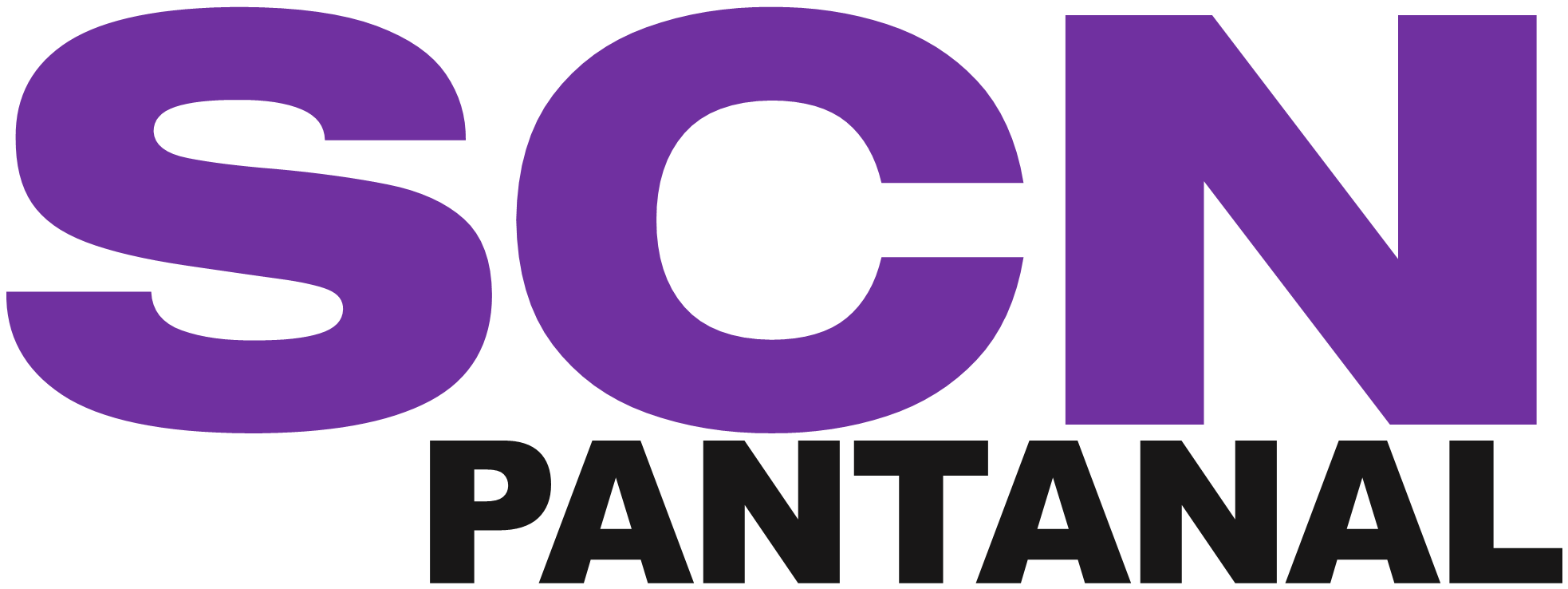scn_pantanal.thumb.png.aa10d6c86cc54e449517a100b060b4c3.png