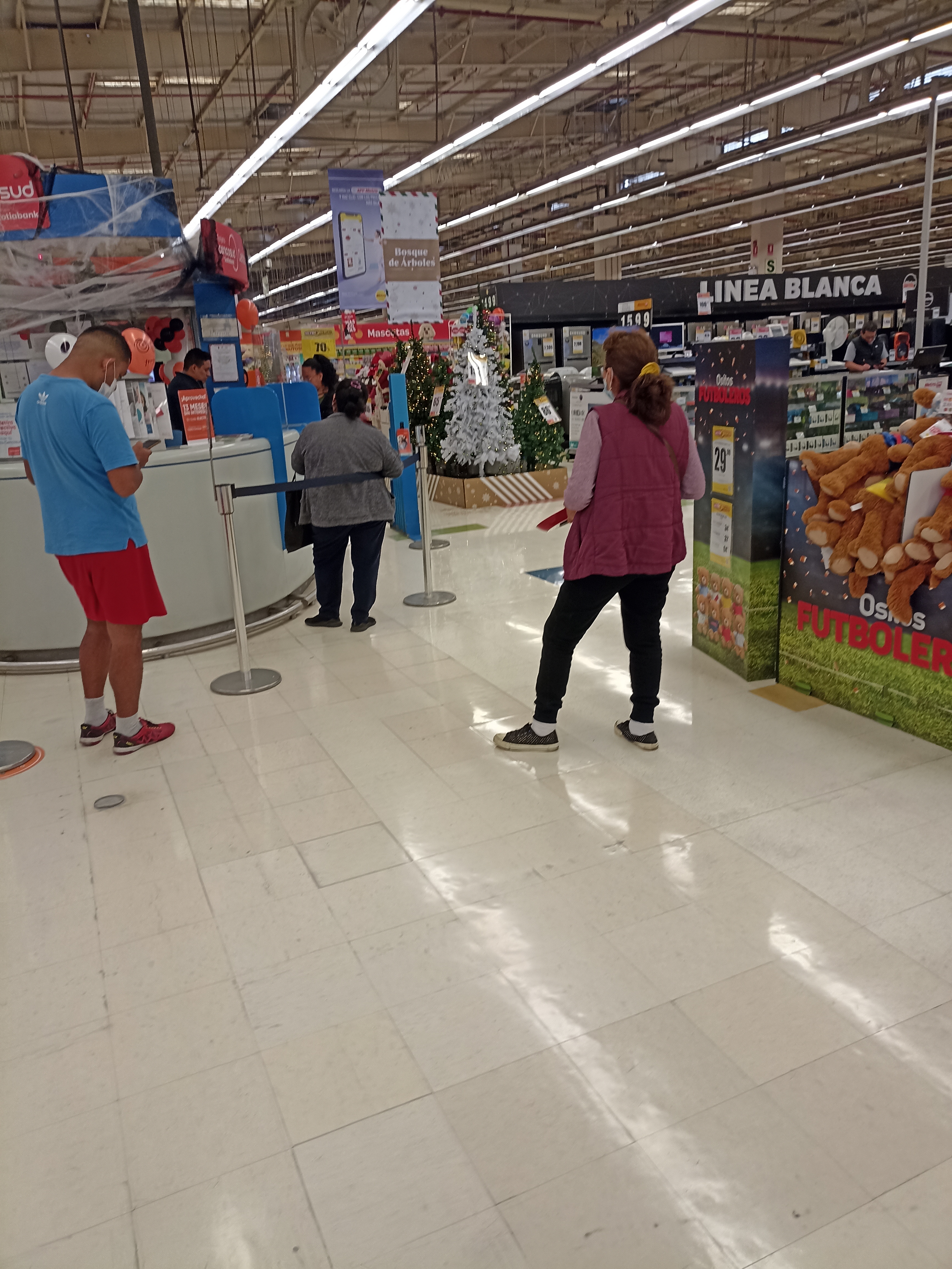 IMG_20221031_112728.thumb.jpg.6063bfaf9a502d8cb00bc451c7cf737b.jpg