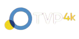 Logo provisorio TV Pública 4K