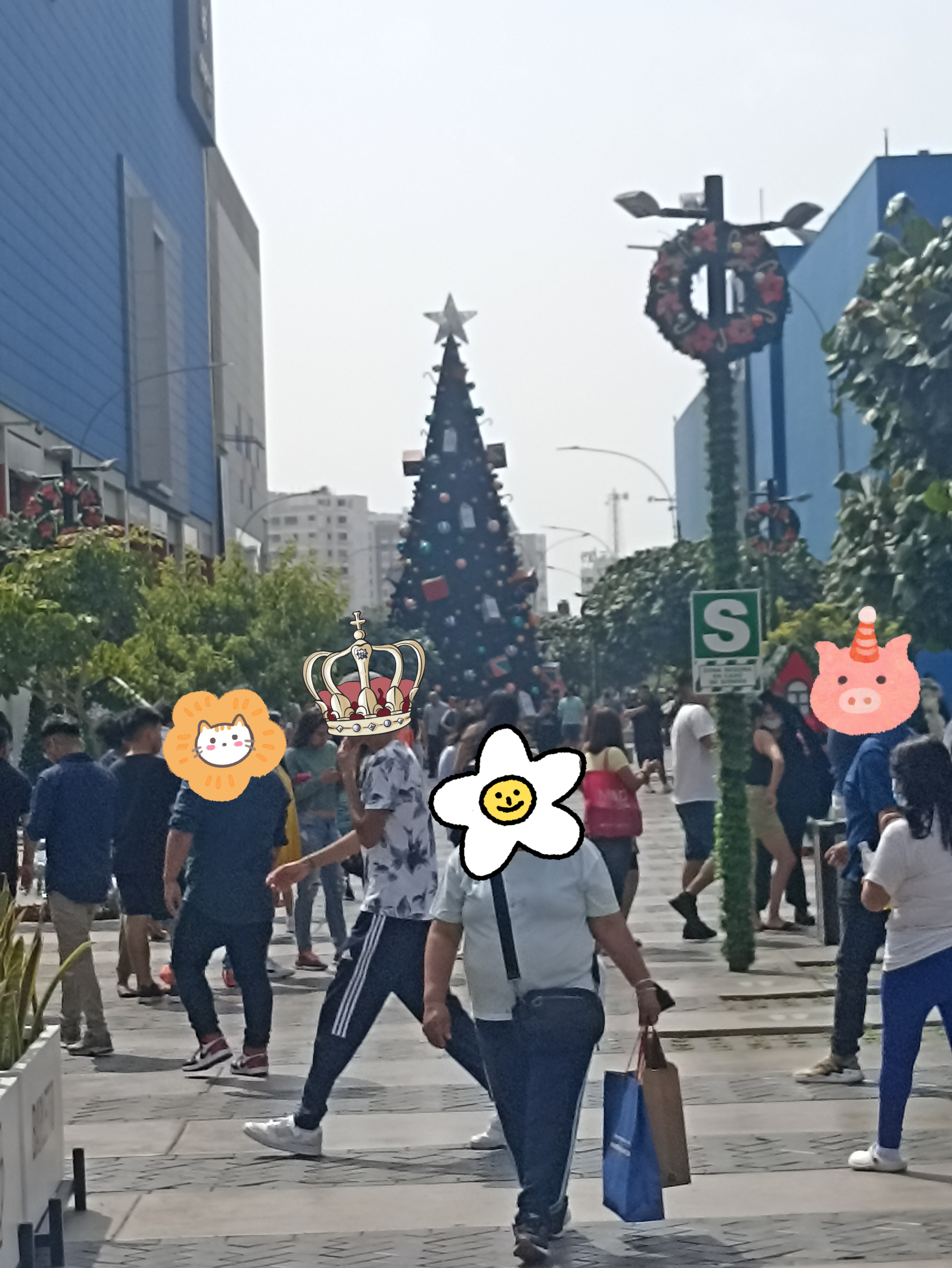 IMG_20221225_013625.thumb.jpg.a846d7600c88420974ef0c1e8338b6ad.jpg