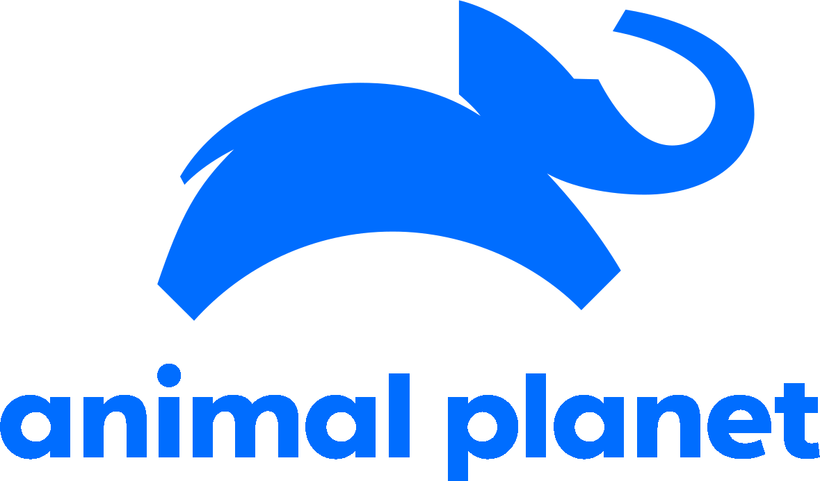 large.81331378_1200px-2018_Animal_Planet_logo.svg-copia(2).png.59d305ea783e247f5423563064ba0948.png