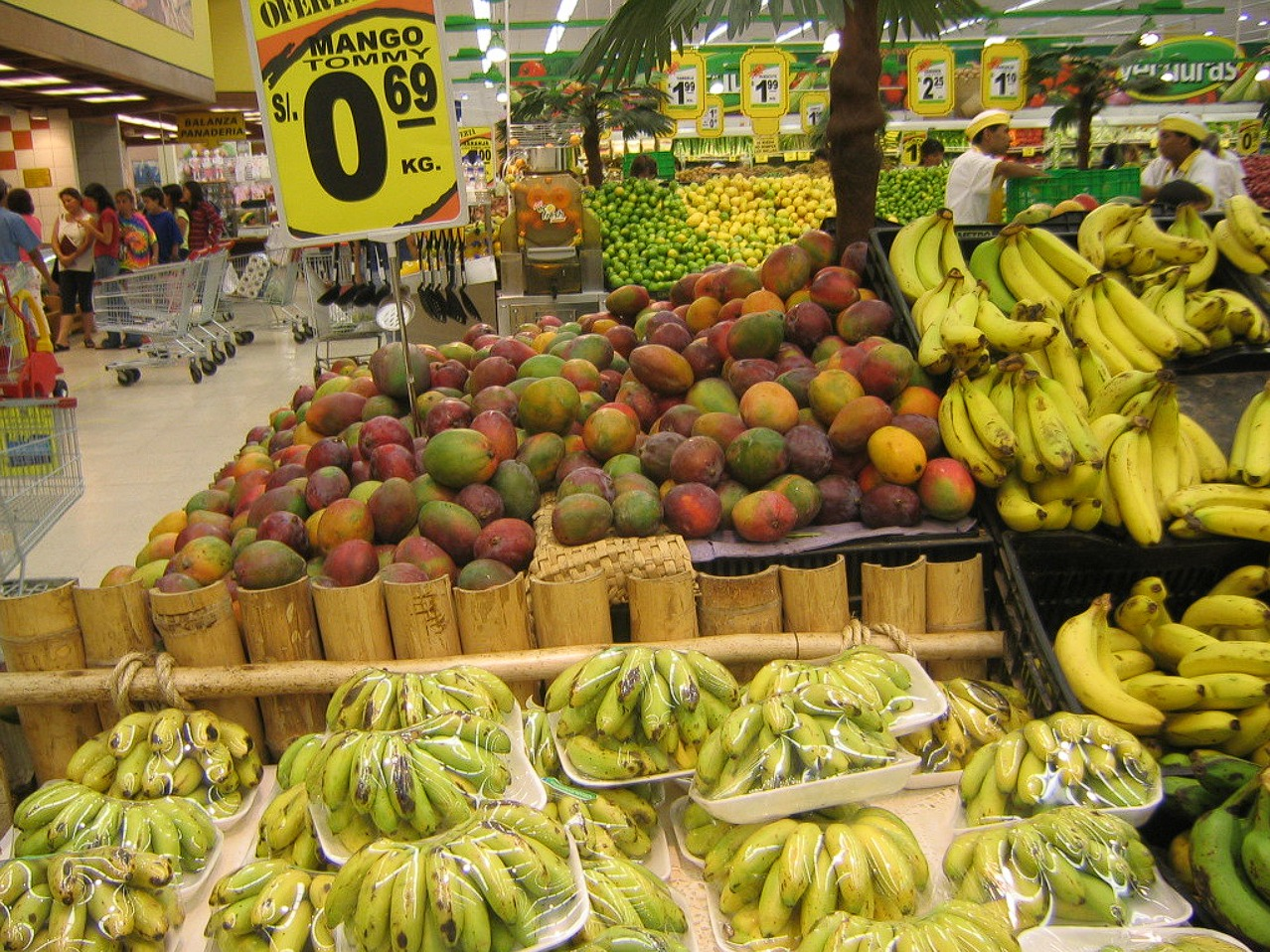 image.thumb.png.ab2f81df9c5af1685560255a0e8e441a.png