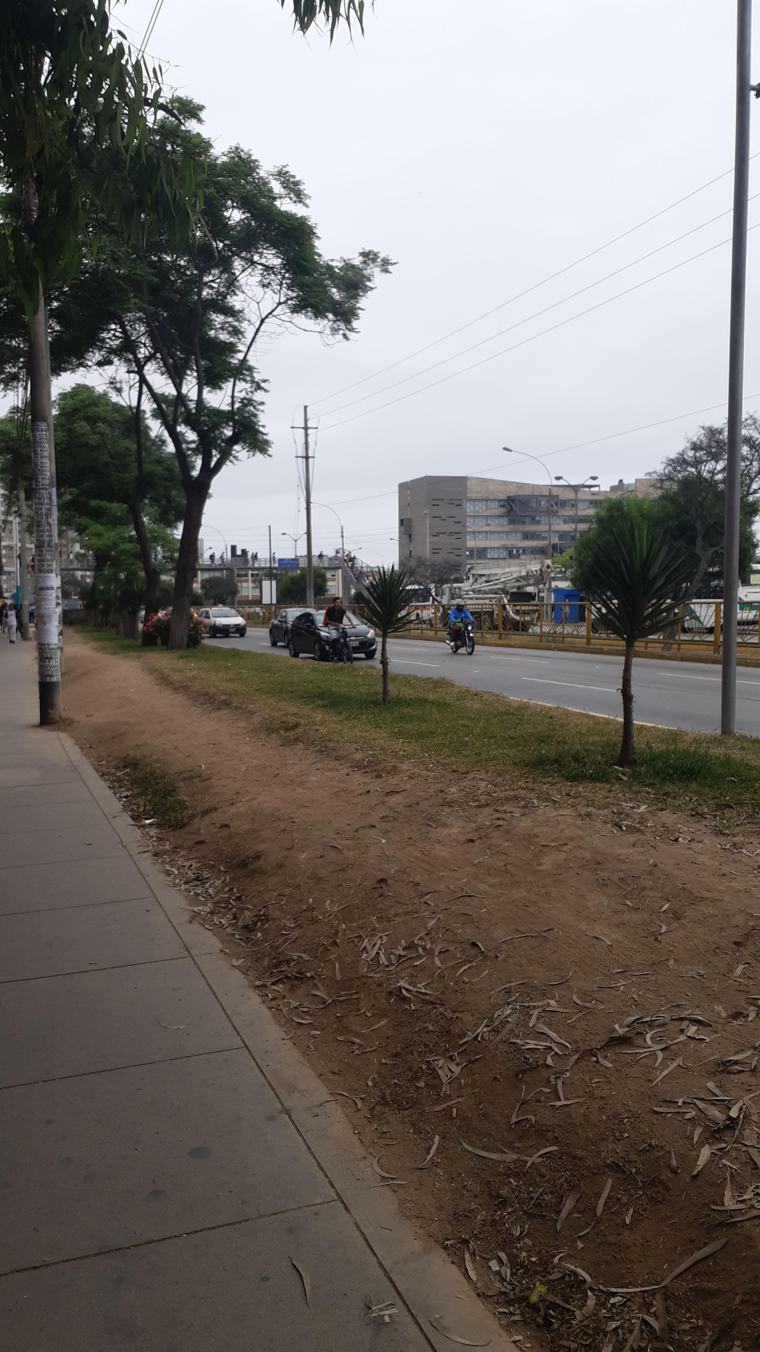 IMG-20191113-WA0018.thumb.jpeg.8a10abb8b63797f8fdd9b1a80d981806.jpeg