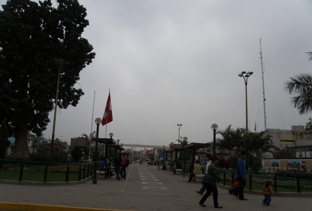 55604345.thumb.jpg.cff7dfddfd1c03e4825f591c32b6b85f.jpg