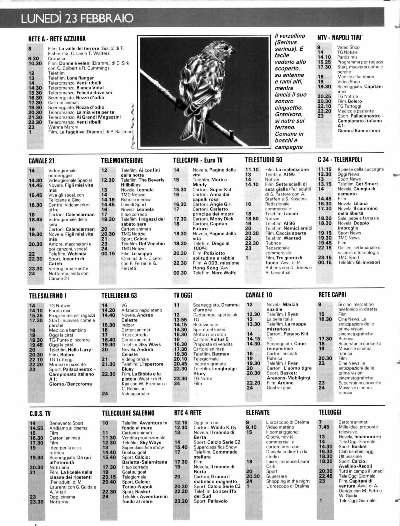 image.thumb.png.ff06b000492d7291649783928d9568c6.png