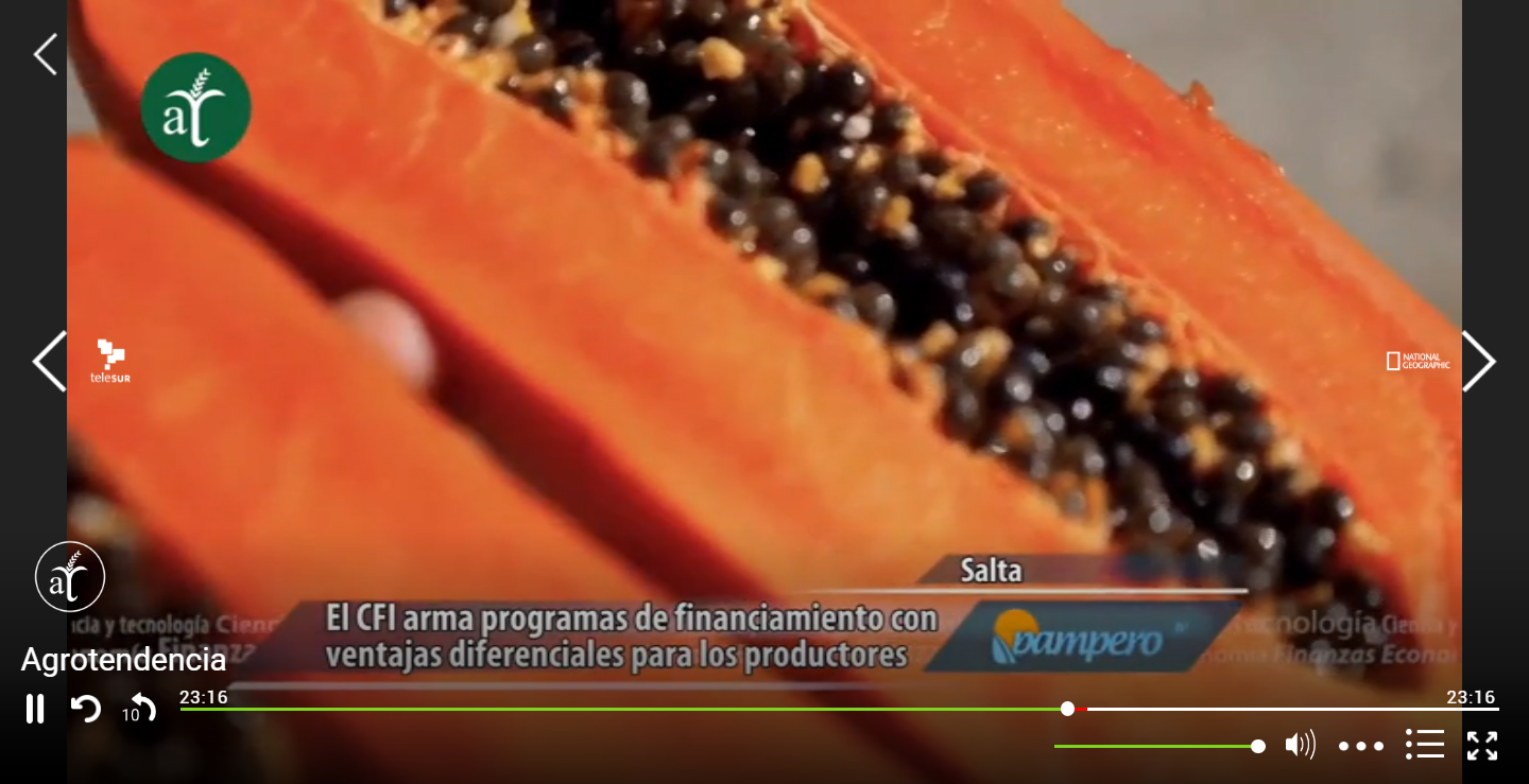 image.png.16fd793b97e356a1f8507b75e84d57e9.png