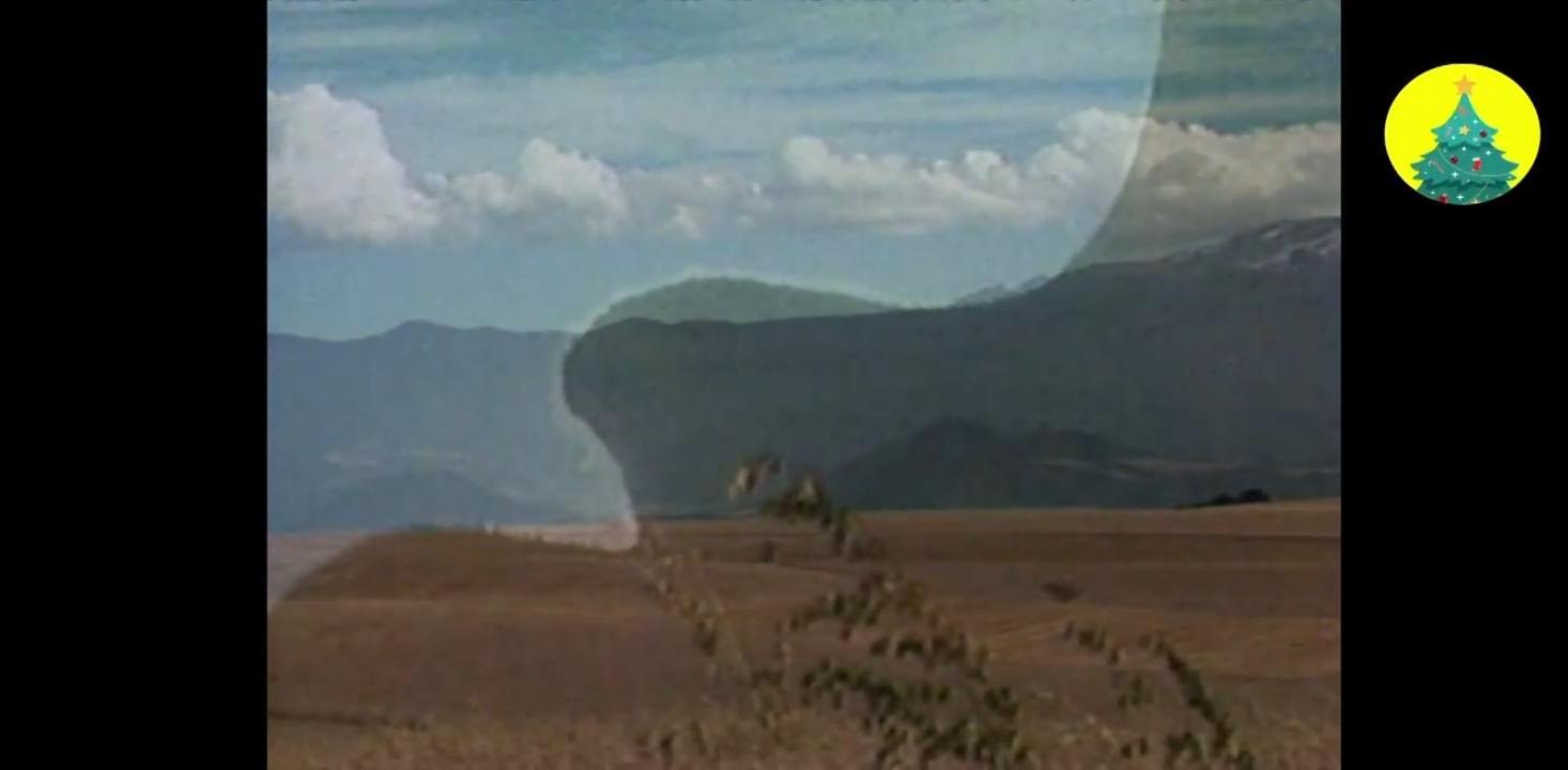 Screenshot_20241201-160212.jpg.65192bae72b642aef488ccde2cd49870.jpg