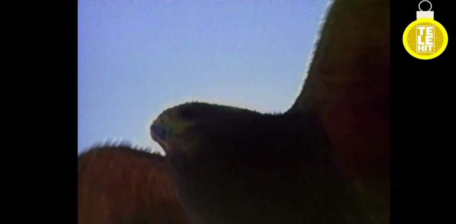 Screenshot_20241201-160216.jpg.13ed604db37574ab161a45ba1c650fb2.jpg