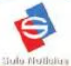 Solo Noticias 2009